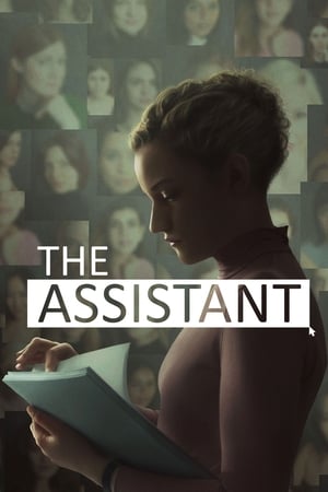 Assistant 2021 Hindi (Fan Dub) Dual Audio 720p WebRip [650MB]