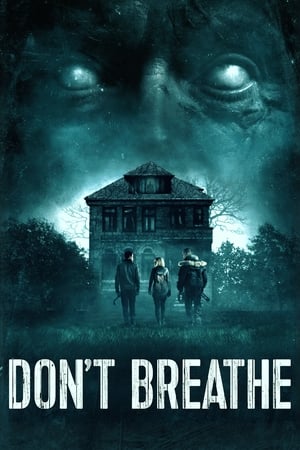 Don't Breathe (2016) Hindi Dual Audio 480p BluRay 300MB