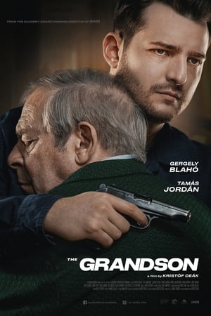 The Grandson 2022 Hindi Dual Audio HDRip 720p – 480p